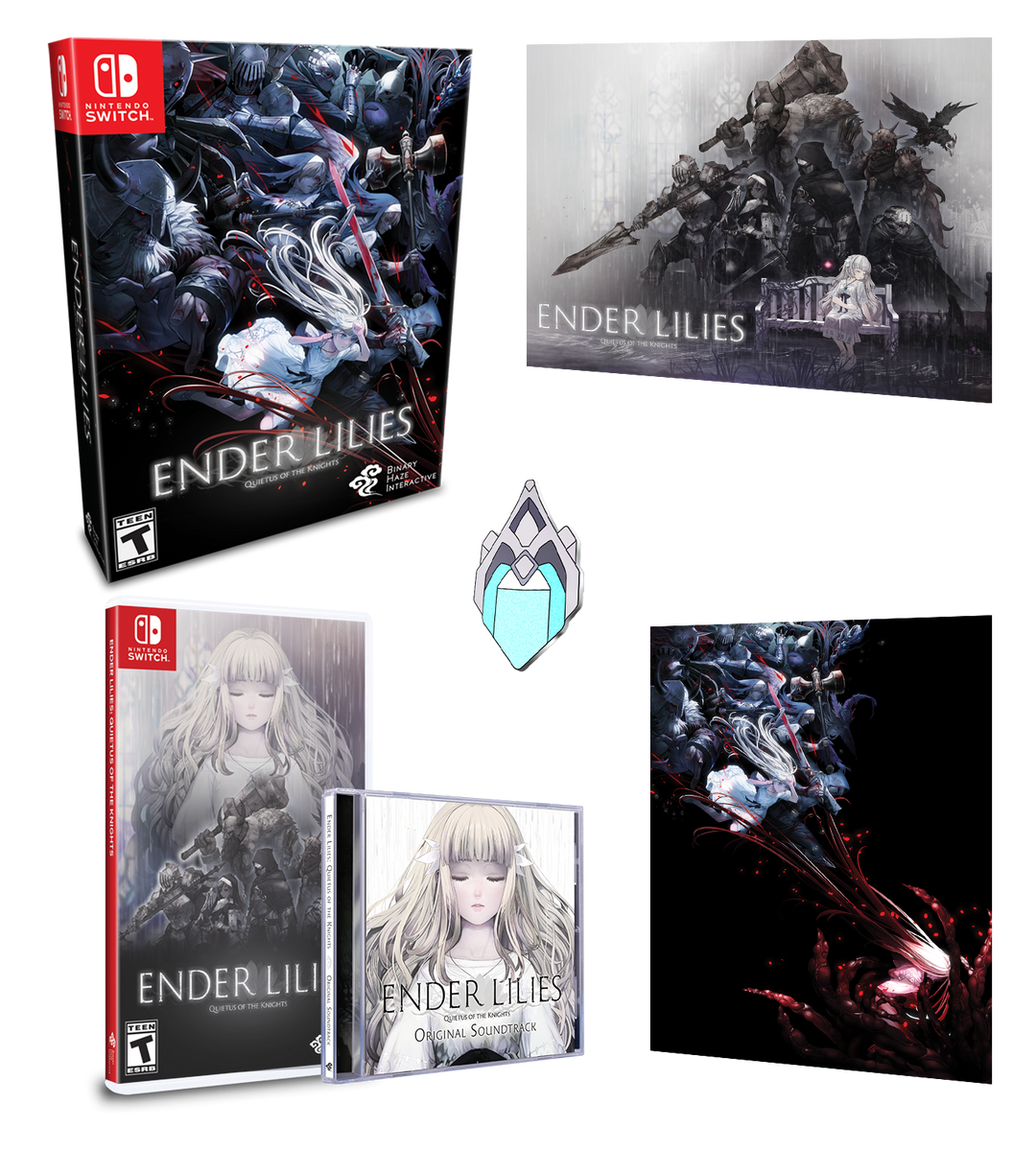  Ender Lilies: Quietus of the Knights - Nintendo Switch :  Everything Else