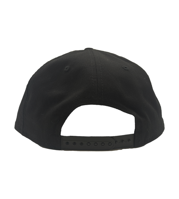 Limited Run Snapback Hat