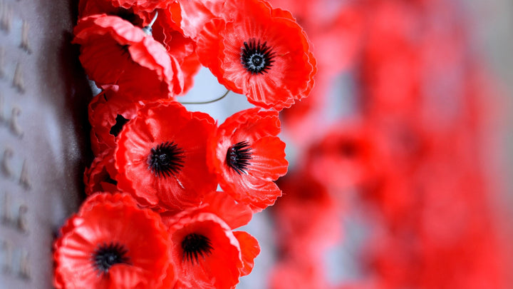 A Moment of Reflection for Memorial Day