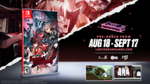 Switch Limited Run #210: Koumajou Remilia: Scarlet Symphony