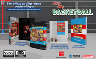 River City Basketball (NES)