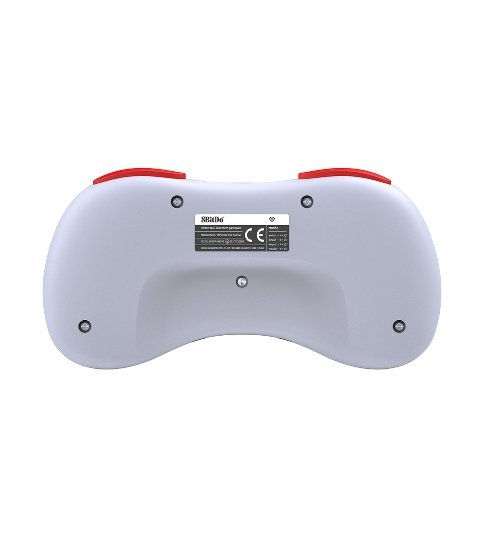 Earthion 8bitDo Controller