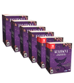RAIDOU Remastered: The Mystery of the Soulless Army Collector's Edition (Switch, Switch 2,PS5, PS4, Xbox, PC)
