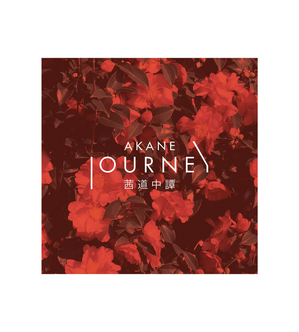 Journey By AKANE (Saori Kobayashi)