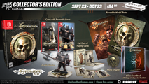Switch Limited Run #157: Enclave HD Collector's Edition